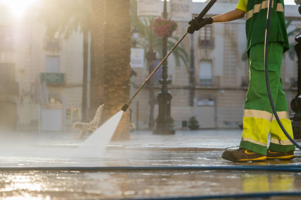 Best Affordable Pressure Washing  in Cahokia, IL