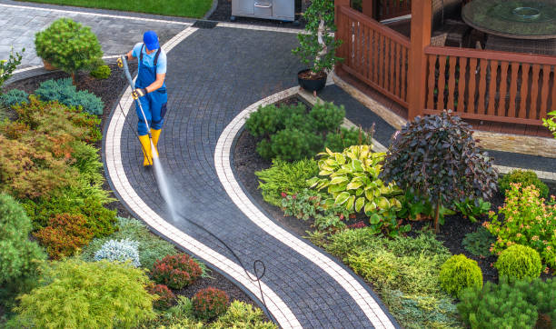 Best Best Pressure Washing Companies  in Cahokia, IL